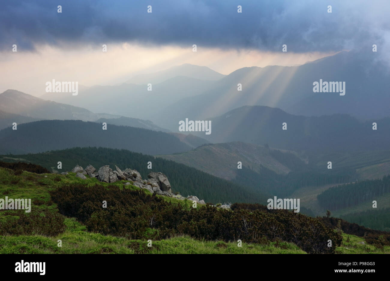 sun rays bursting through the skies in late afternoon Stock Photo