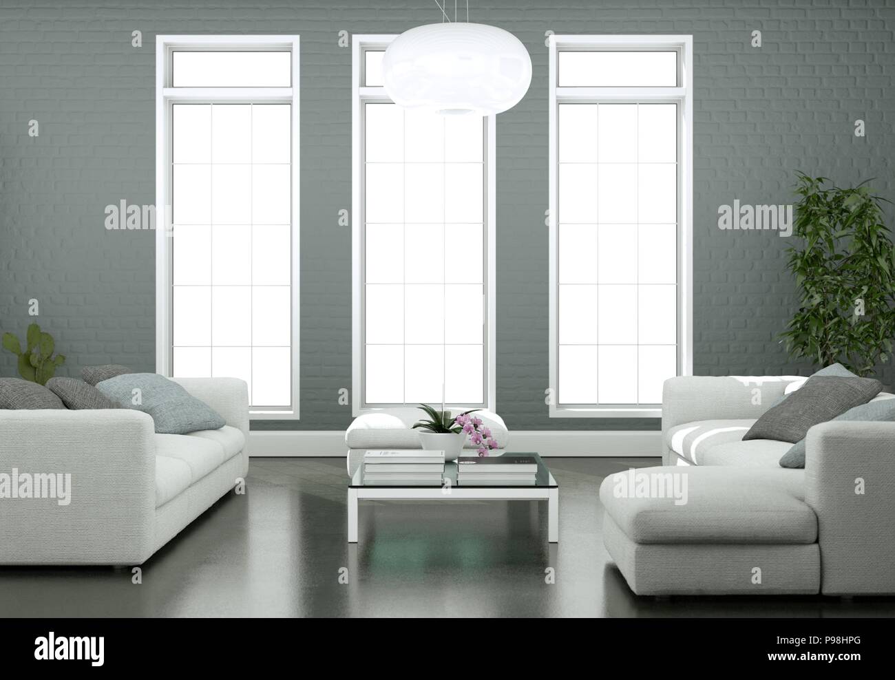 Modern bright living room interior design with sofas and grey wall ...