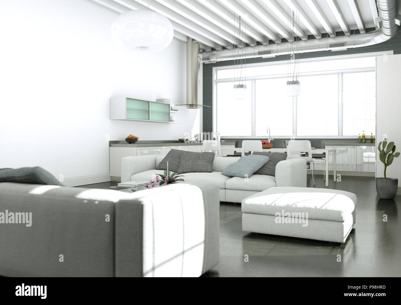 Modern bright living room interior design with sofas and grey wall ...
