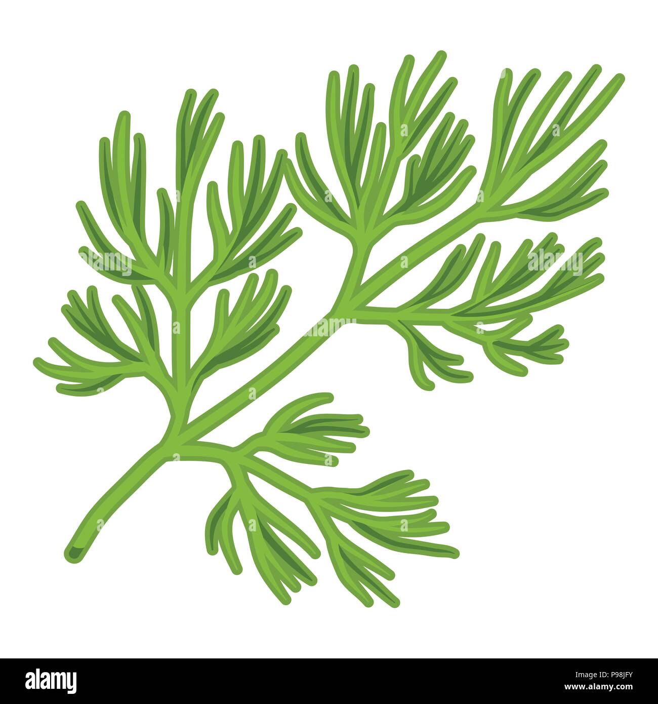 Dill icon in cartoon style isolated on white background. Herb an spices