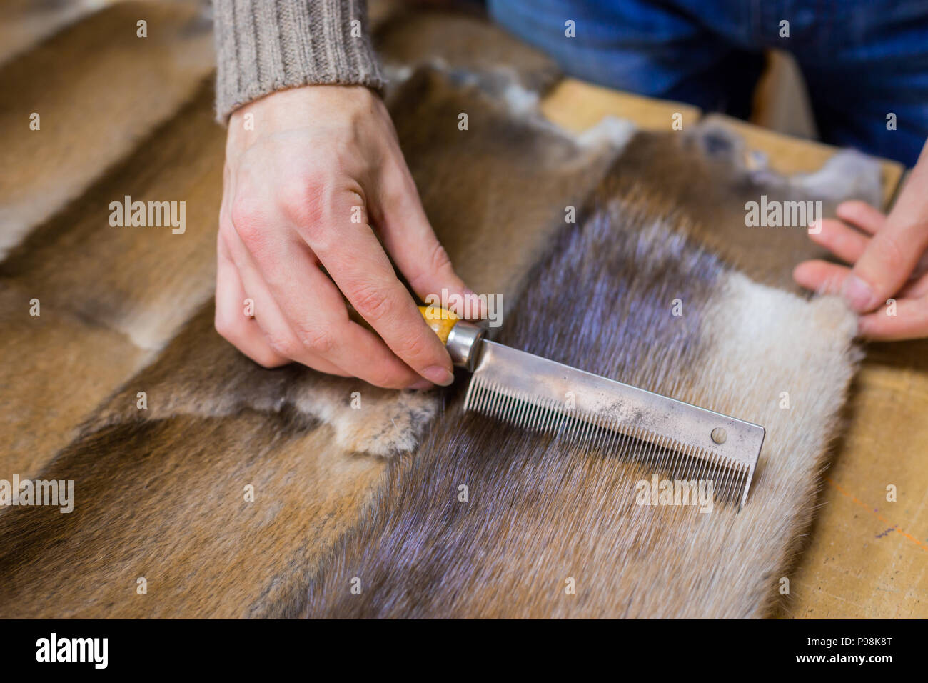 Skinner working with mink fur skin Stock Photo