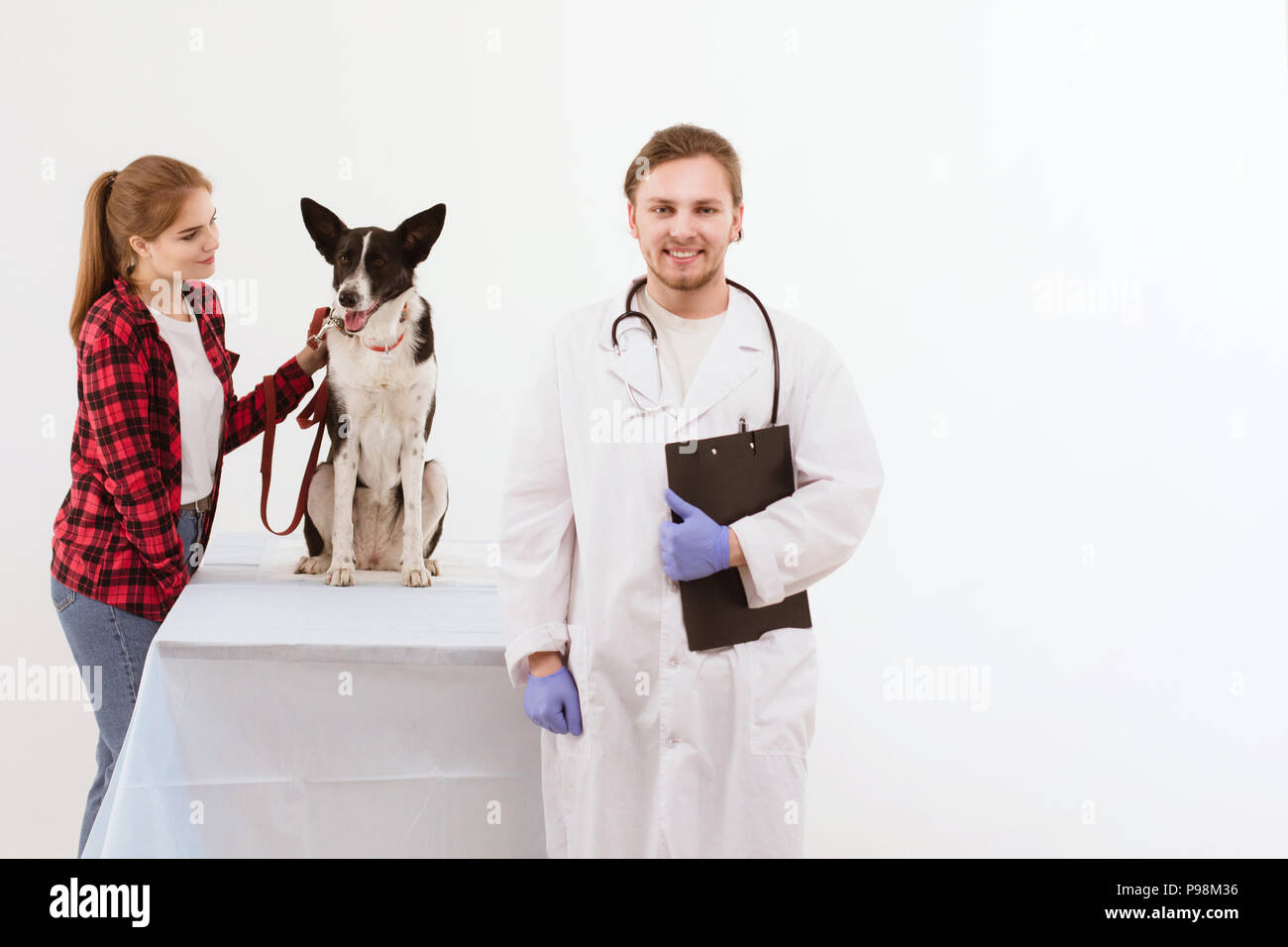 Dog getting checked at vet with their owner Stock Photo Alamy