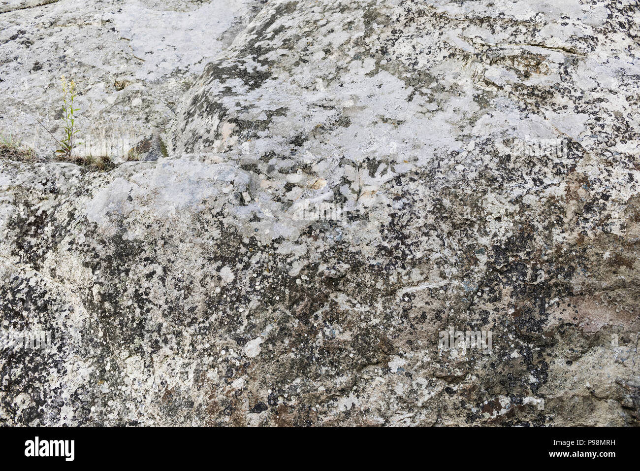 stone texture or background Stock Photo