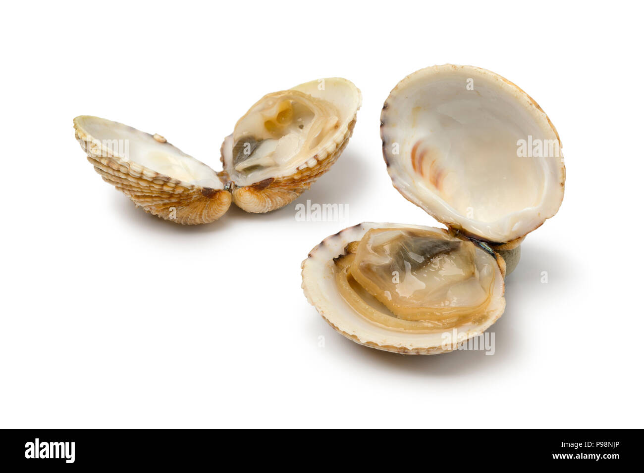 Fresh cooked open warty venus clams isolated on white background Stock Photo Alamy