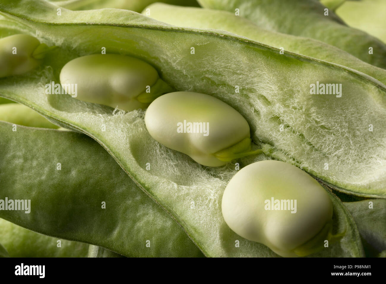 Fresh raw broad beans inside the pod close up full frame Stock Photo