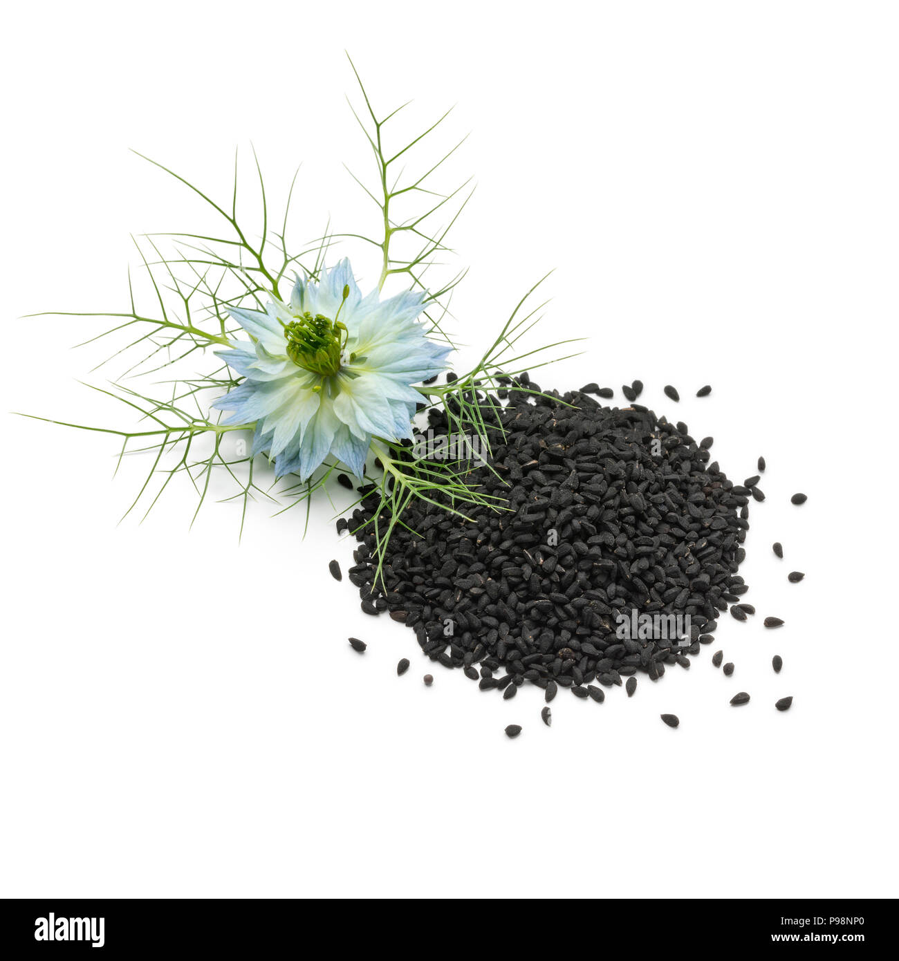 Heap of black nigella seeds and blue flower isolated on white background Stock Photo