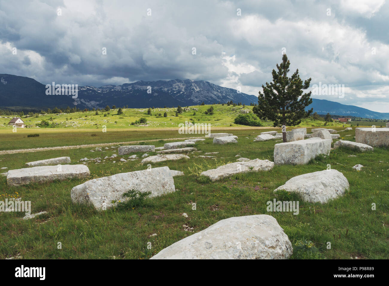 The white Dugo Polje necropolis with over 130 white stećak (tombstones) in Blidinje, Bosnia and Herzegovina Stock Photo