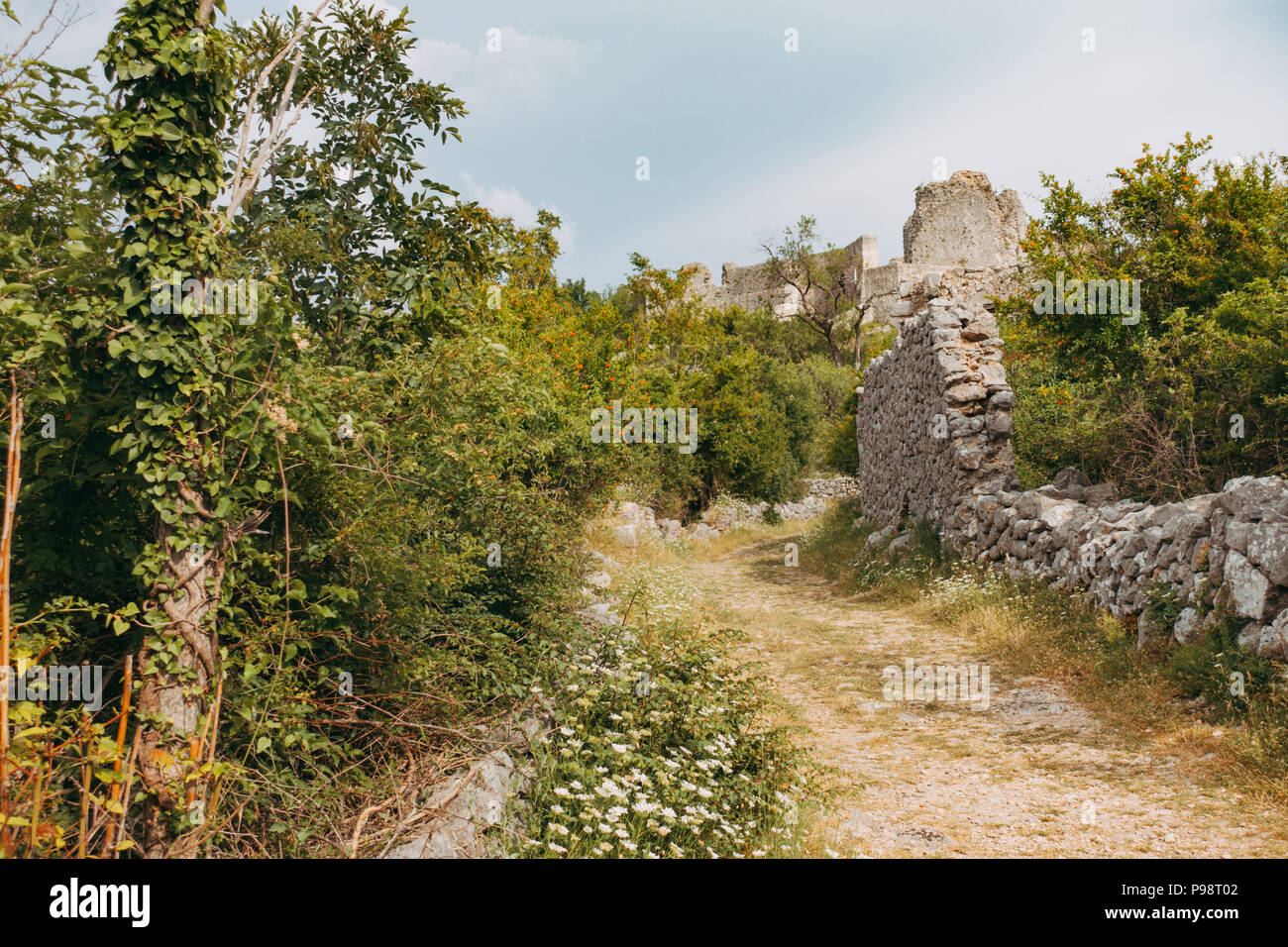The neglected and overgrown medieval Fortress of Herzog Stjepan Vukčić Kosača atop a hillside near Ljubuski, BiH Stock Photo