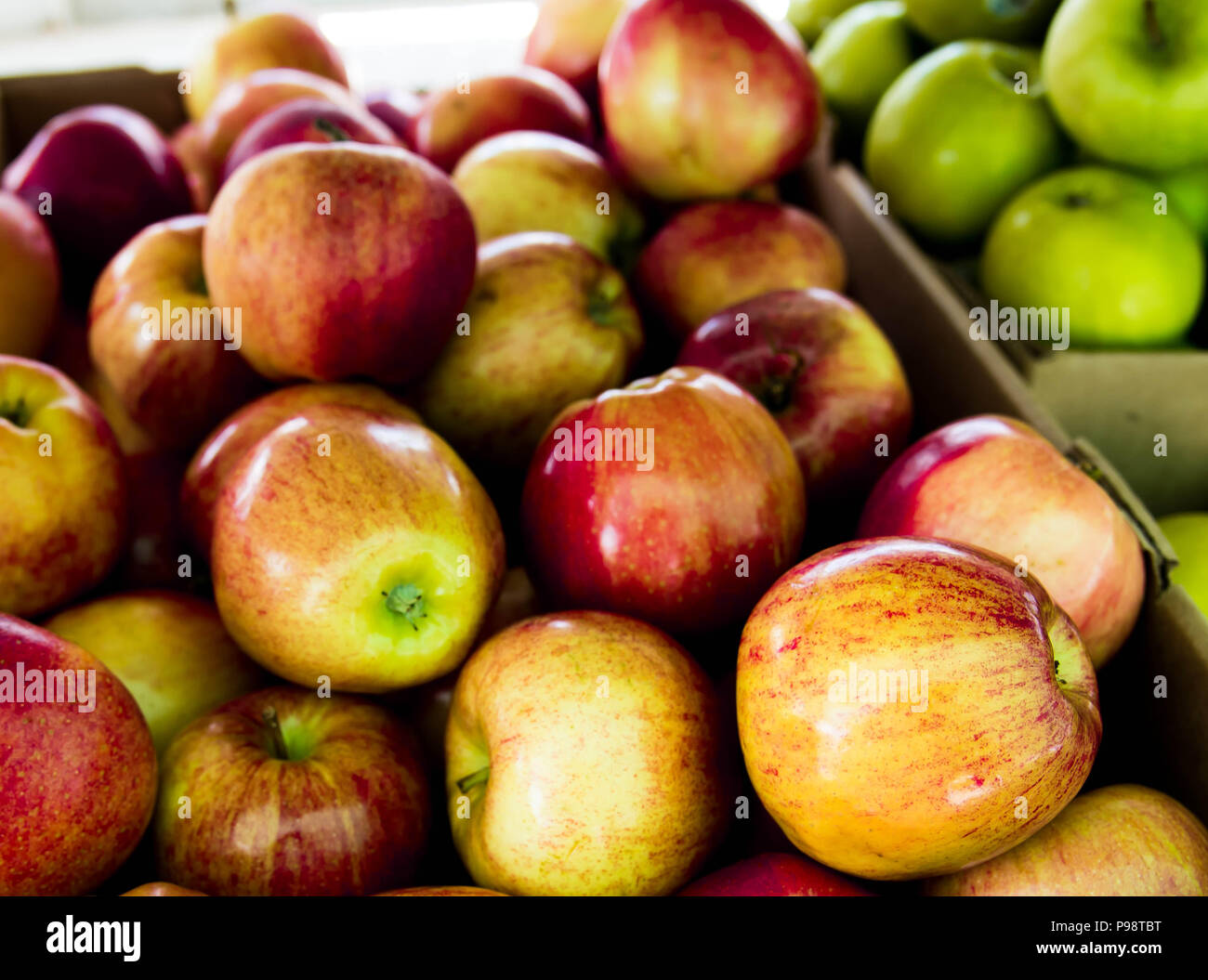 https://c8.alamy.com/comp/P98TBT/apples-for-sale-at-a-farmers-market-in-nebraska-P98TBT.jpg