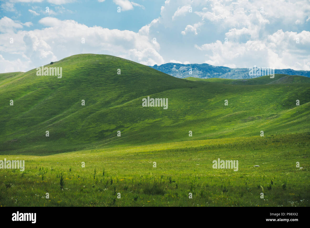 The rolling green grass hills of Durmitor National Park, Montenegro, reminiscent of the famous Windows XP desktop wallpaper Stock Photo