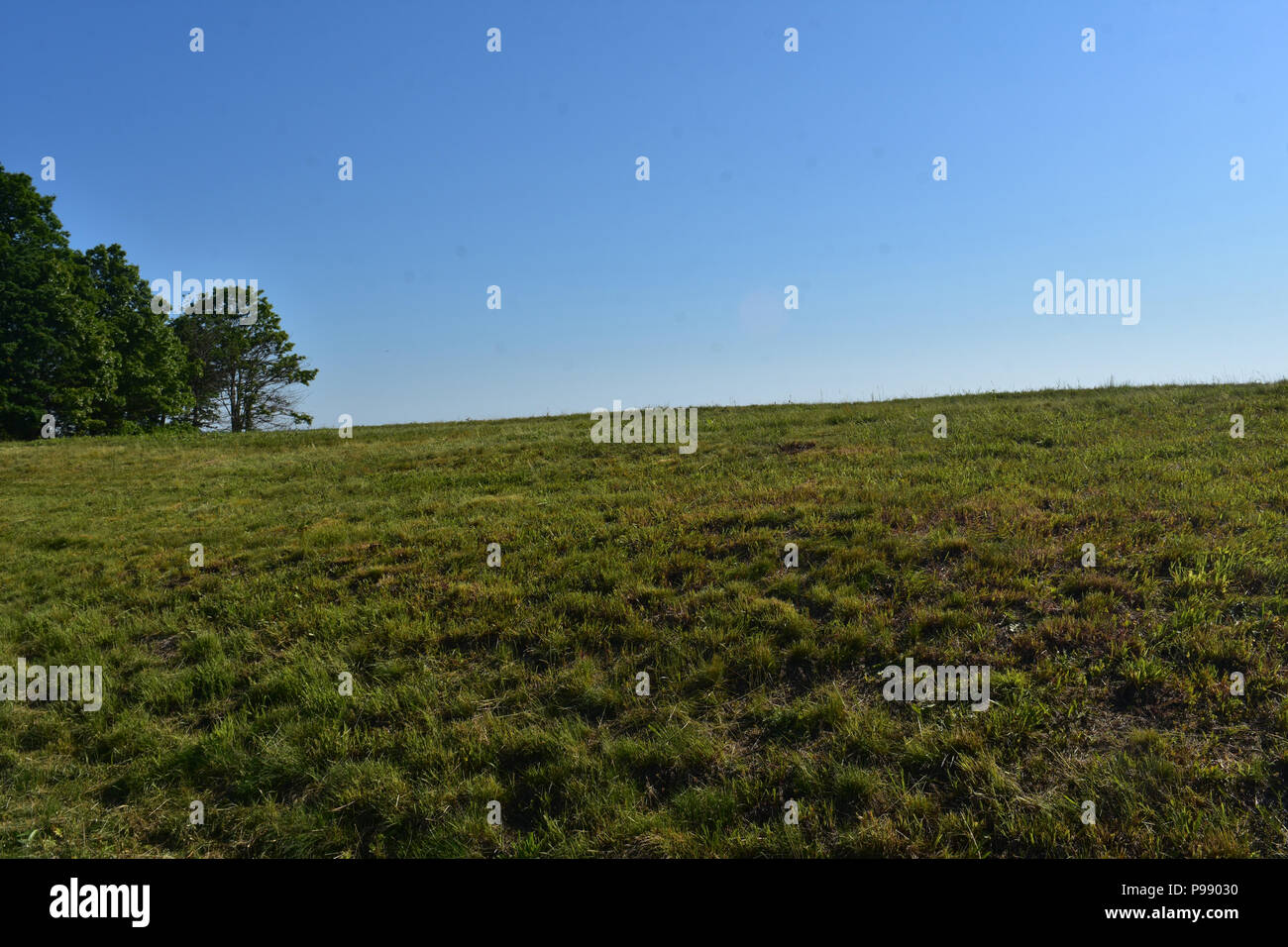 Spring day with a gorgeous grass field and trees Stock Photo - Alamy