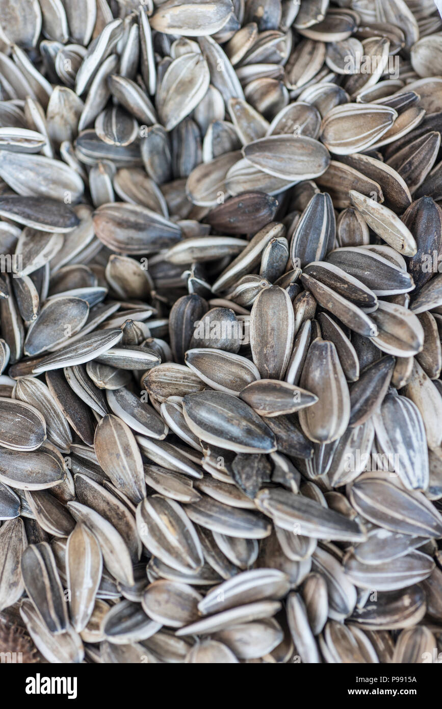 Sunflower seeds background Stock Photo Alamy