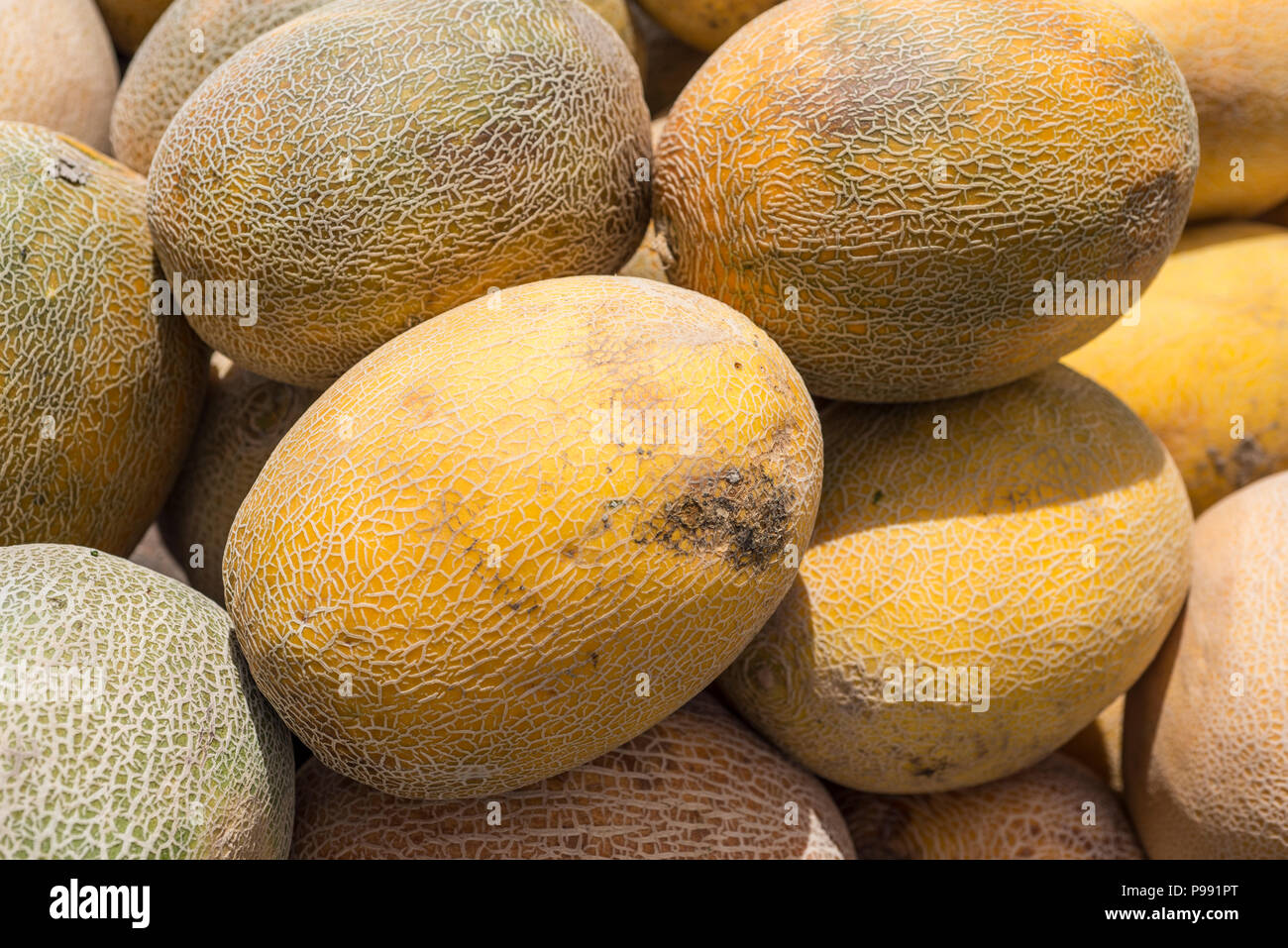 Melons in market Stock Photo