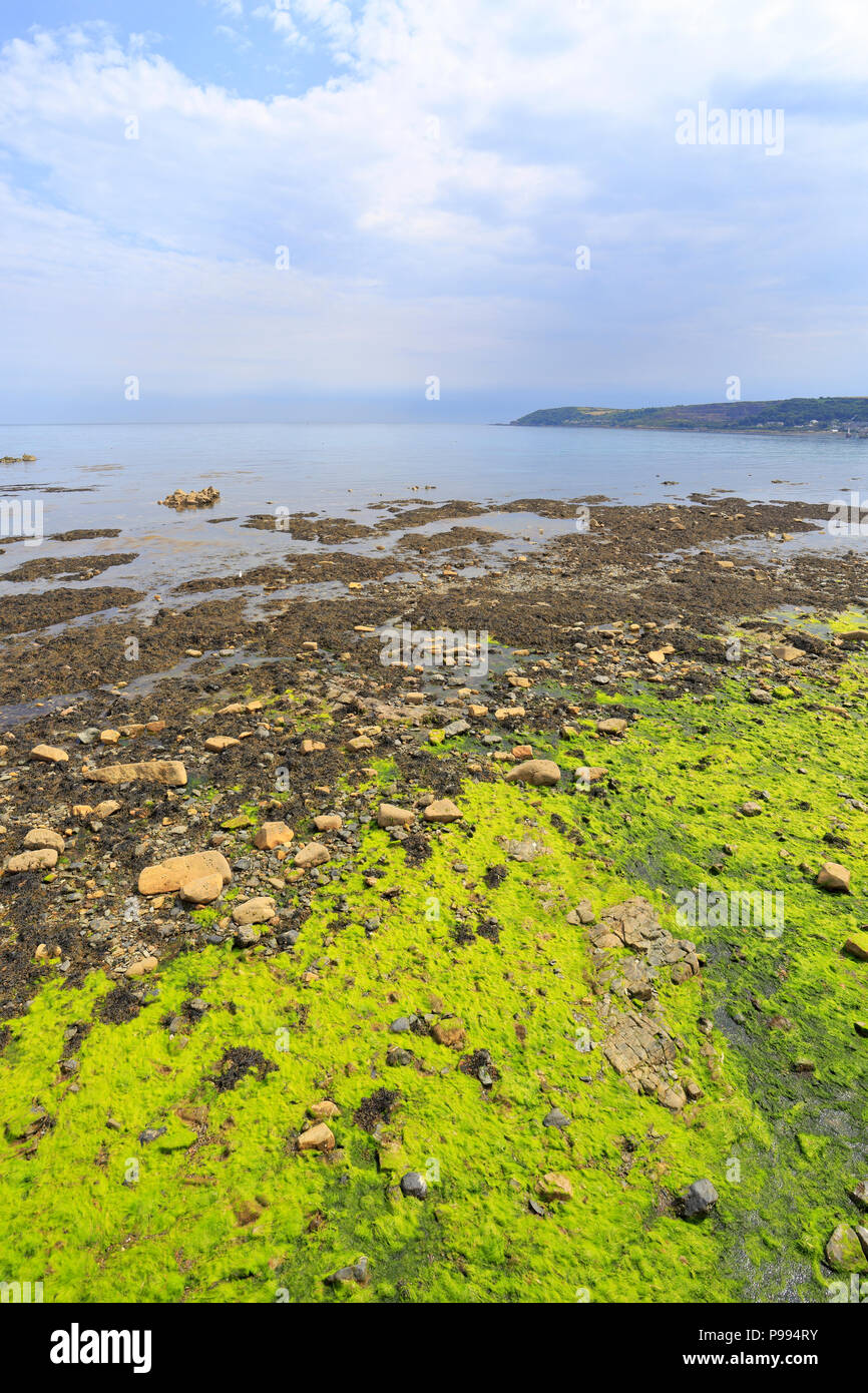 Low tide in Mount's Bay, looking towards Newlyn, Penzance, Cornwall