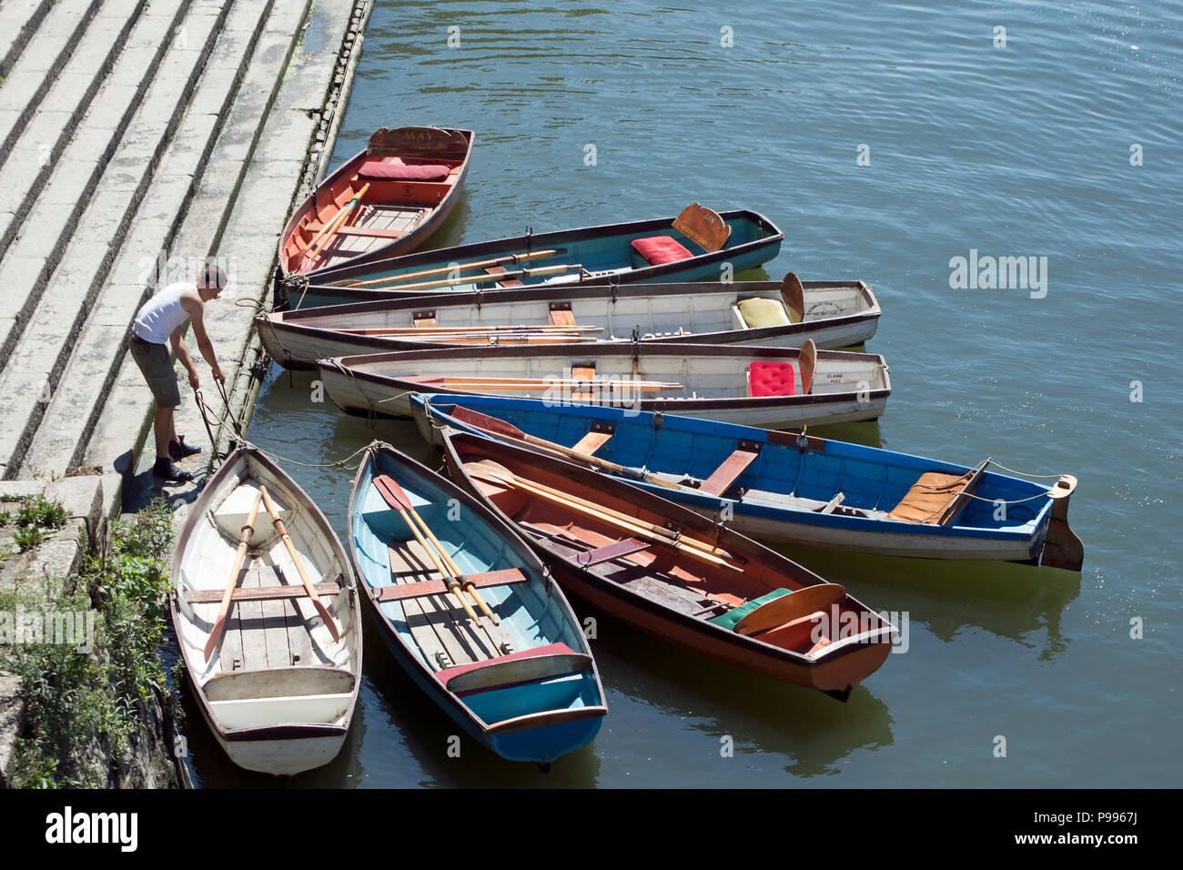 man tends to boats for hire on the river thames at richmond upon thames