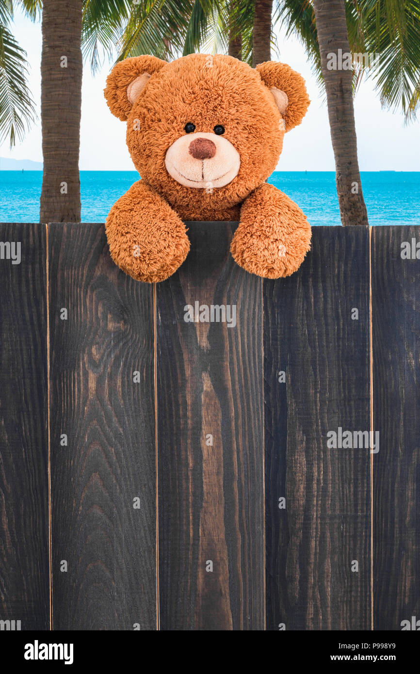 Cute teddy bear on the beach with copy space wood background Stock ...