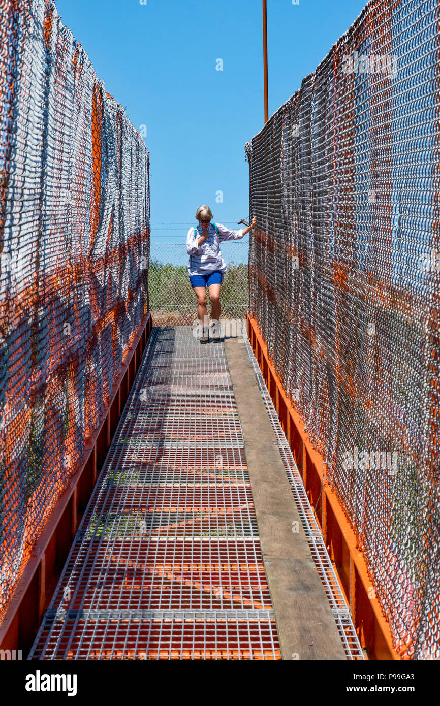Nervous woman crossing bridge on the Pembrokeshire coast path Stock Photo