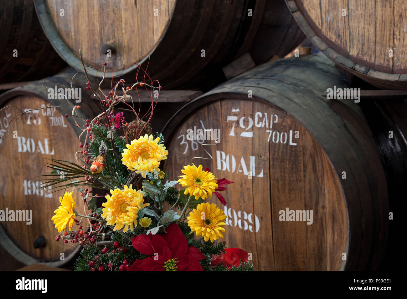 Canteiro method, barrels of 1989 Madeira Boal are left for years in the shippers' lodges to age. Stock Photo