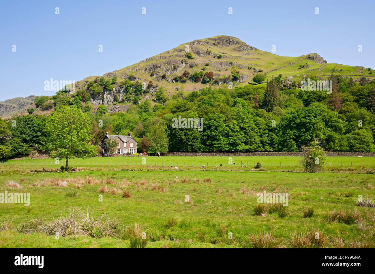Helm Crag Easedale in spring near Grasmere Lake District National Park Cumbria England UK United Kingdom GB Great Britain Stock Photo