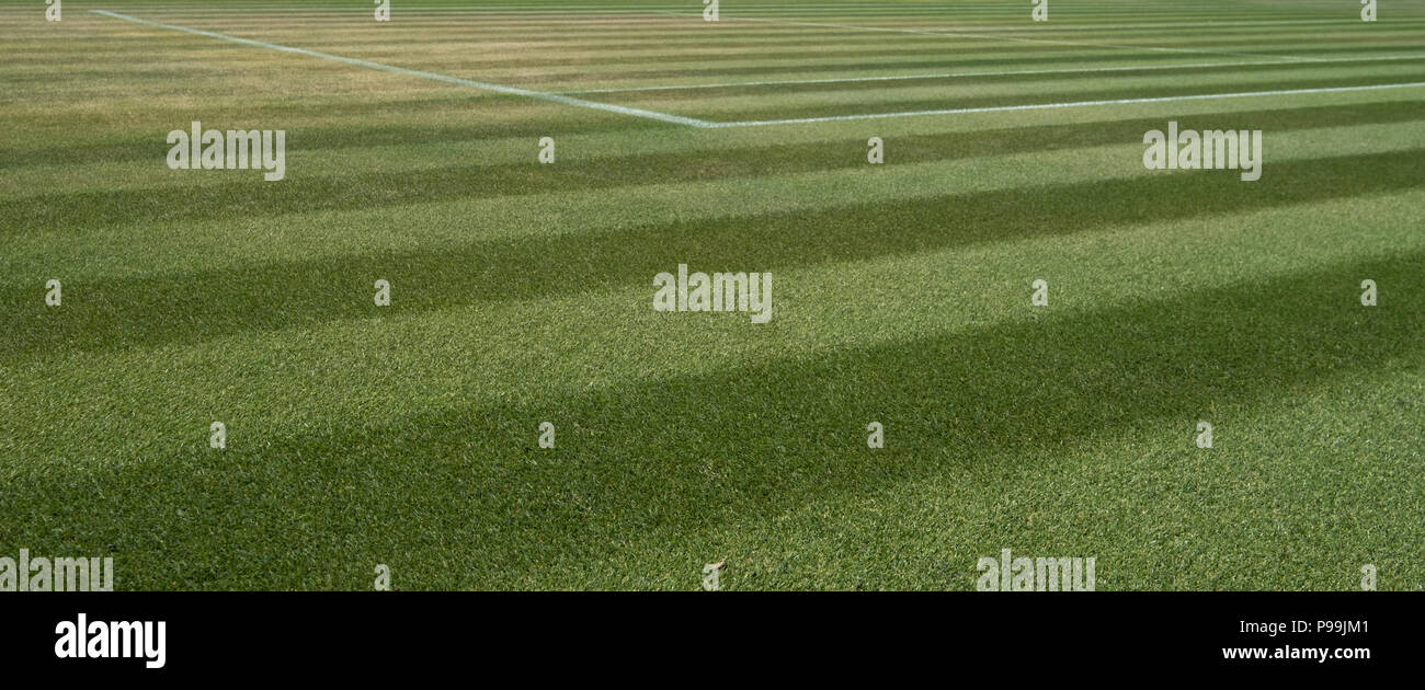 Close up of well manicured grass tennis court at Wimbledon