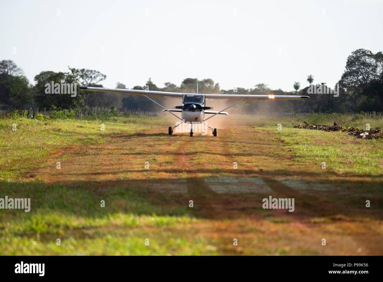 A Cessna single engine lands at a grass airstrip in South Pantanal, Brazil Stock Photo