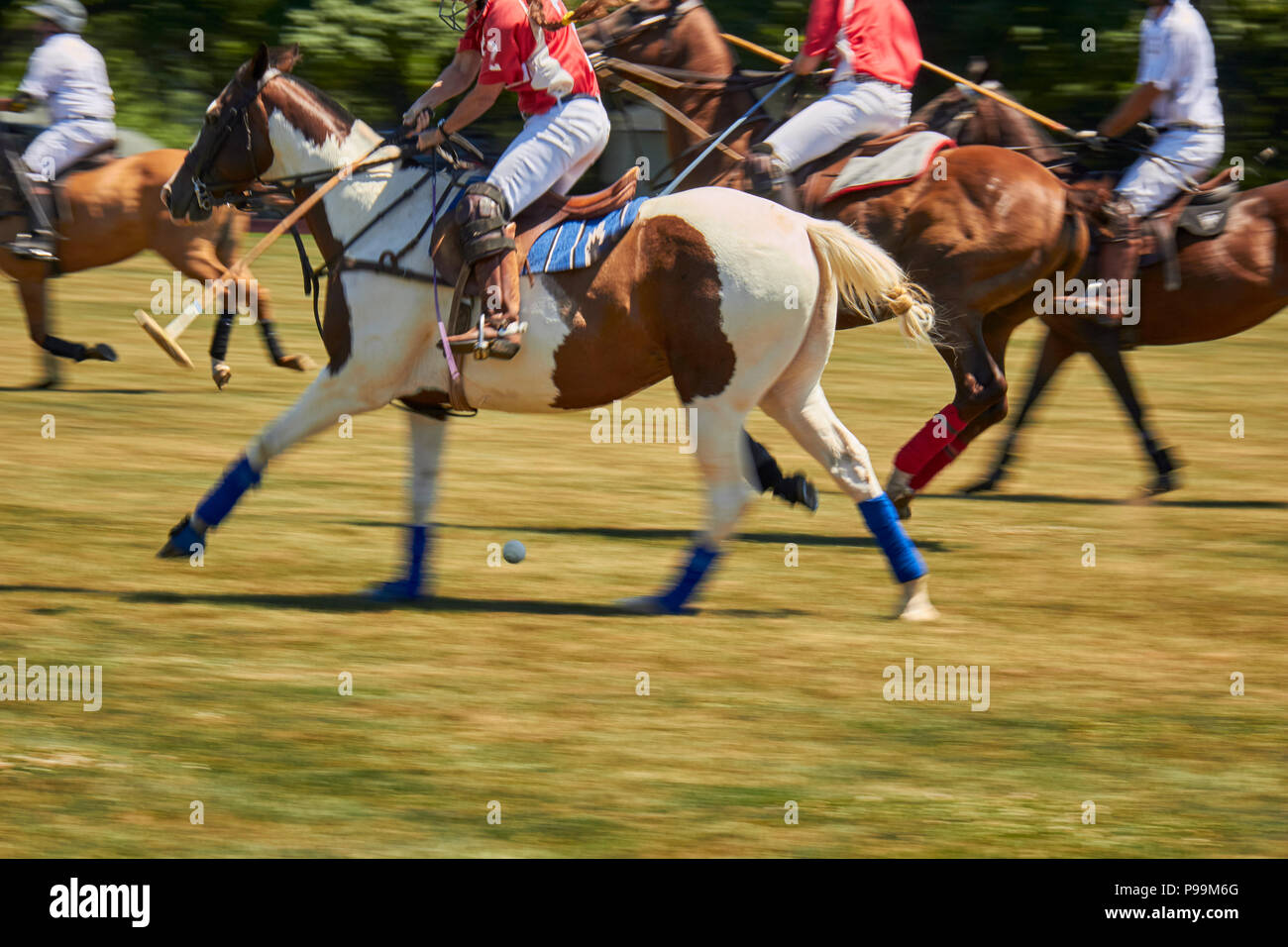 A summer Sunday polo match at the Lancaster Polo Club, Lancaster County