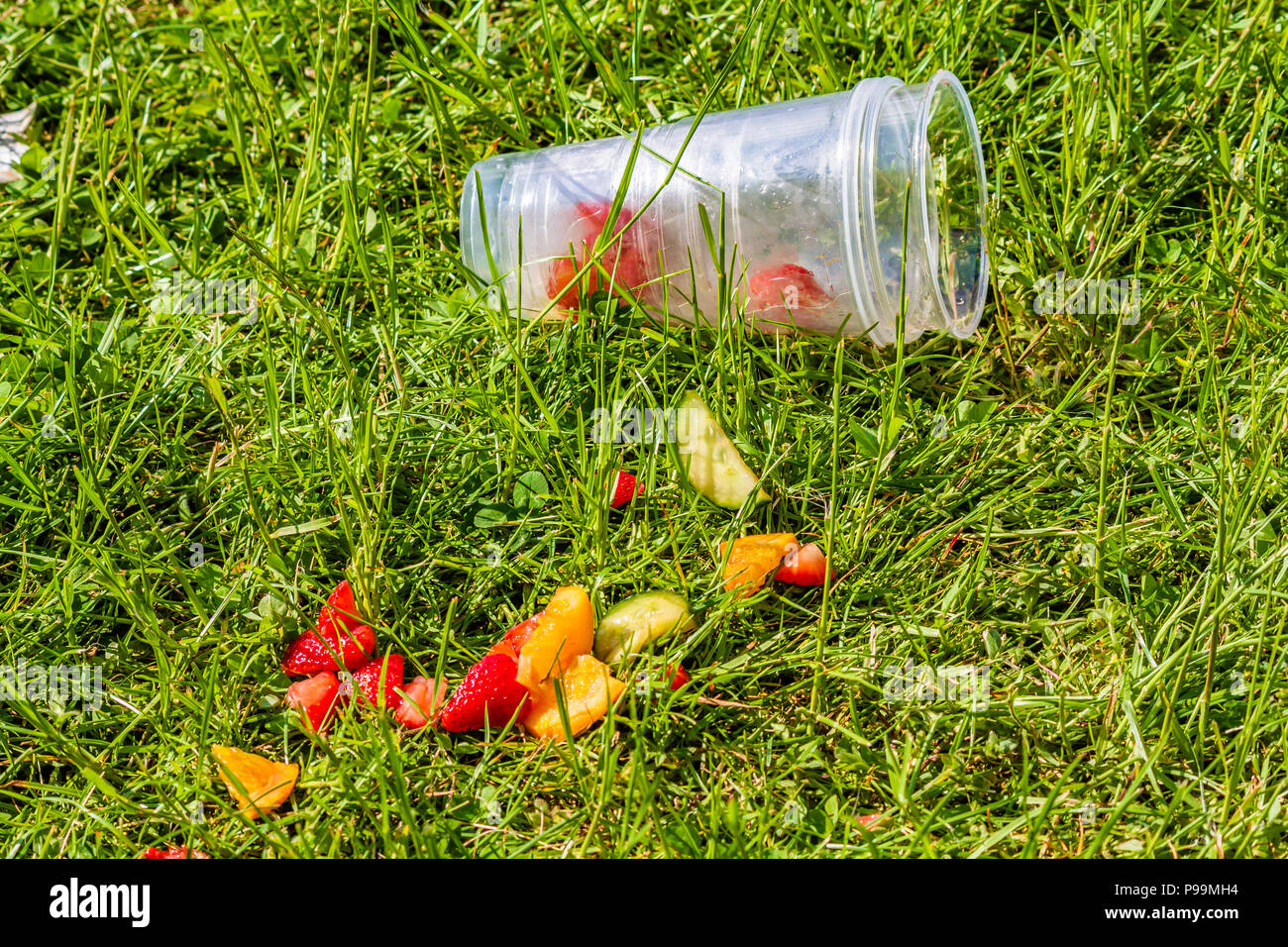 Remains of a discarded cup of Pimms with fruit falling out of a plastic cup on to grass at a festival, UK. Stock Photo