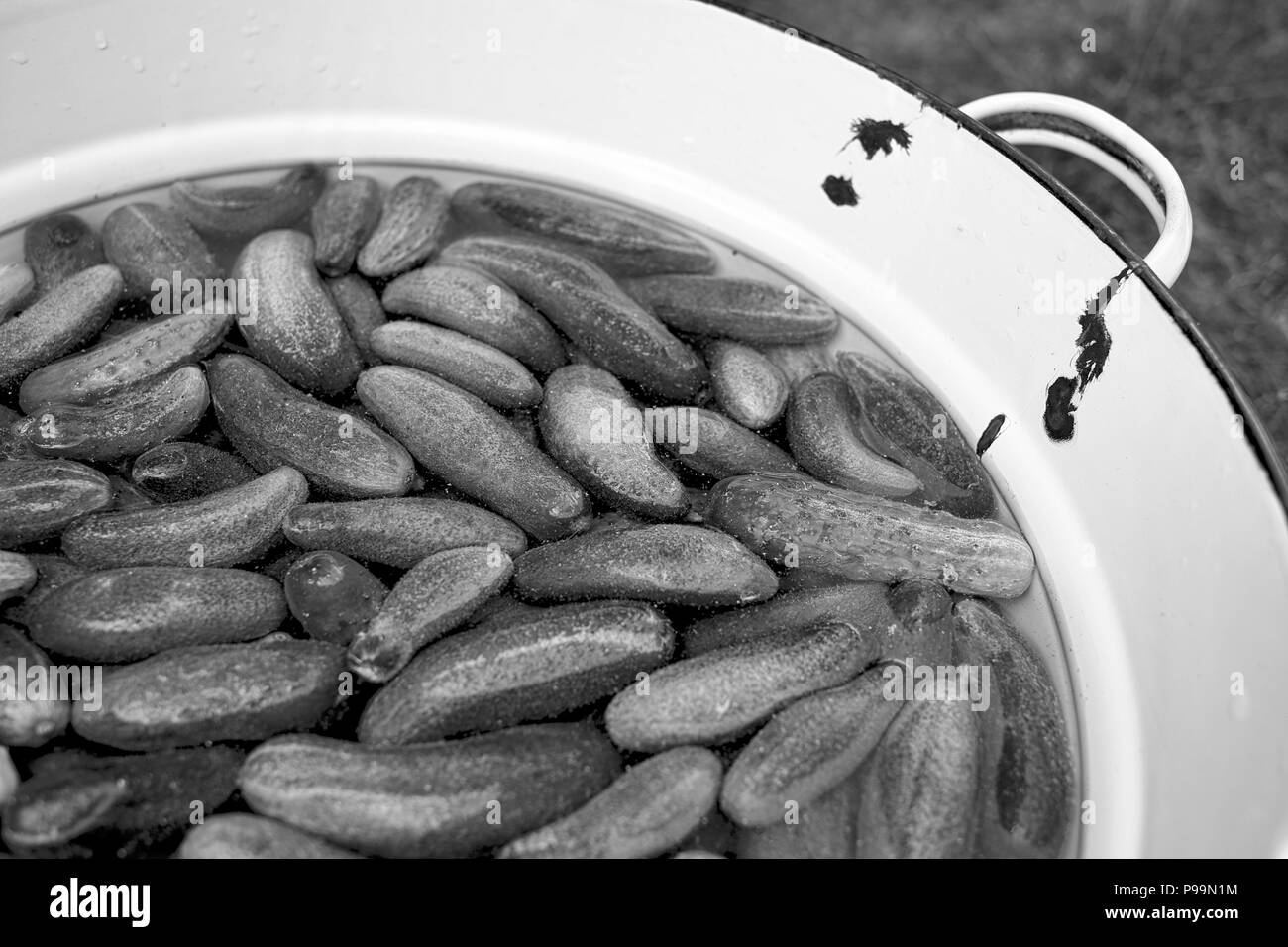 Organic Cucumbers In A Vintage Bowl Viewed From Above, Preparation Of Pickles Stock Photo