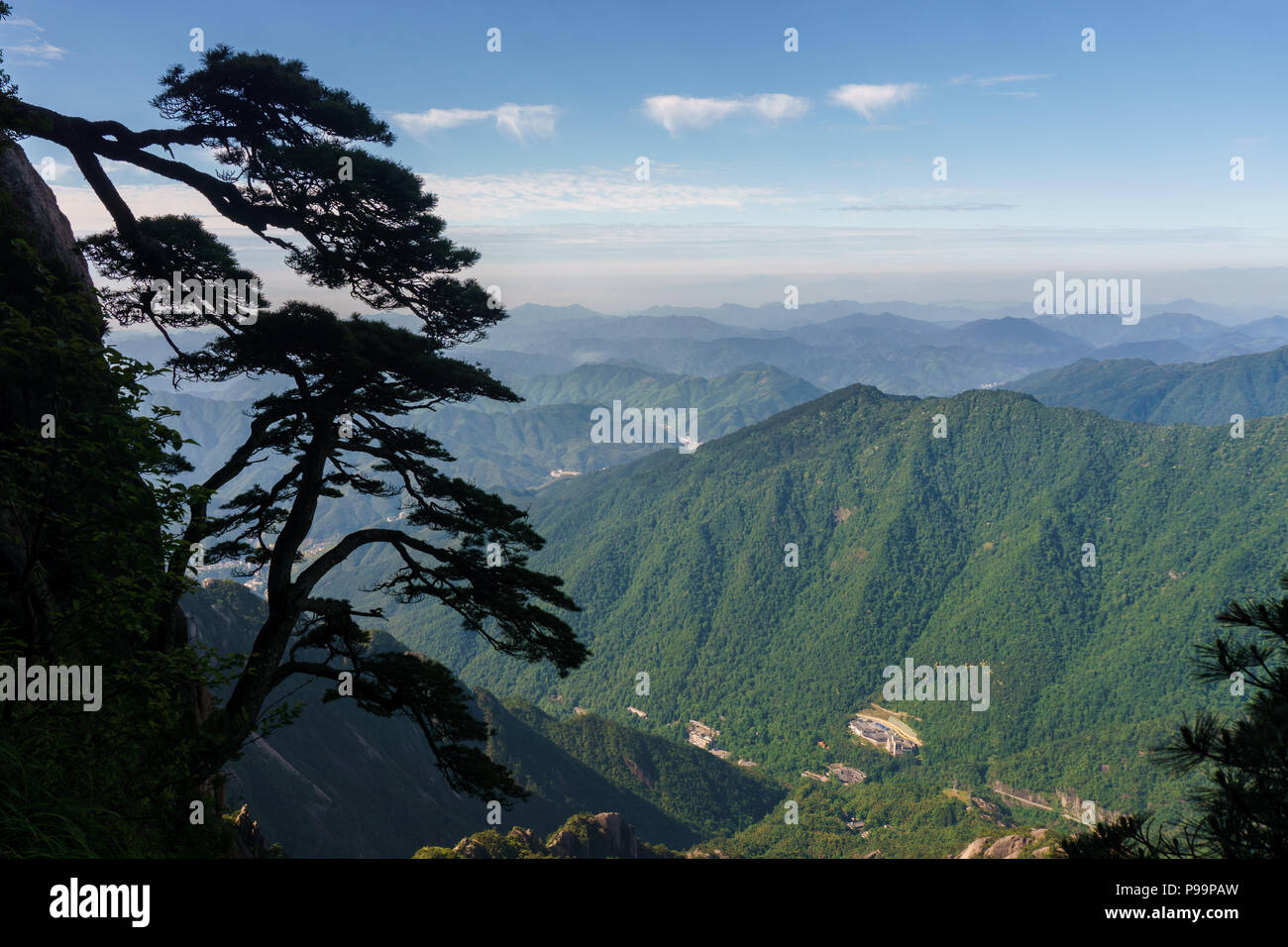 View of foothills of Huansgan over the tzpical pine from the top of Celestial capital peak, eastern China, Anhui. Stock Photo