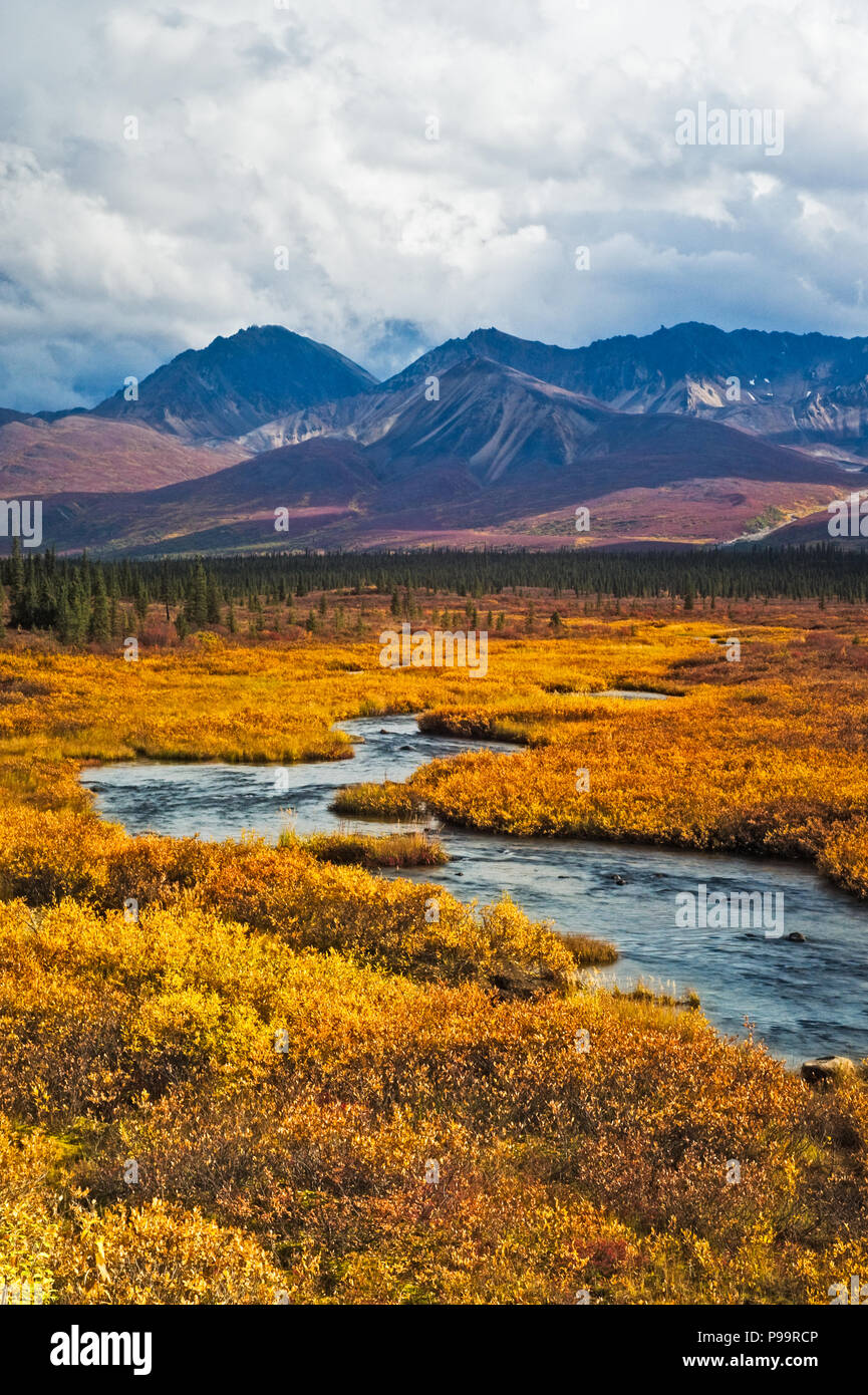 Autumn color landscape with meandering river near Cantwell, Alaska