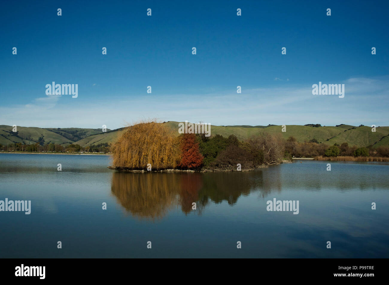 Elizabeth lake Fremont California Stock Photo Alamy