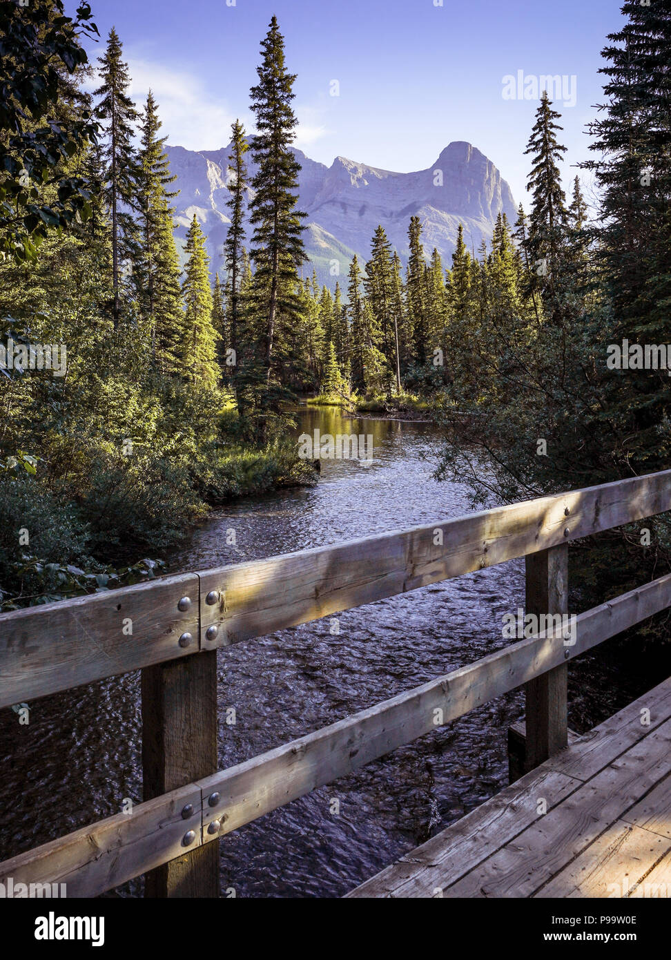View from Bridge over creek in forest with mountains in background at sunset in Canmore Alberta Canada Stock Photo