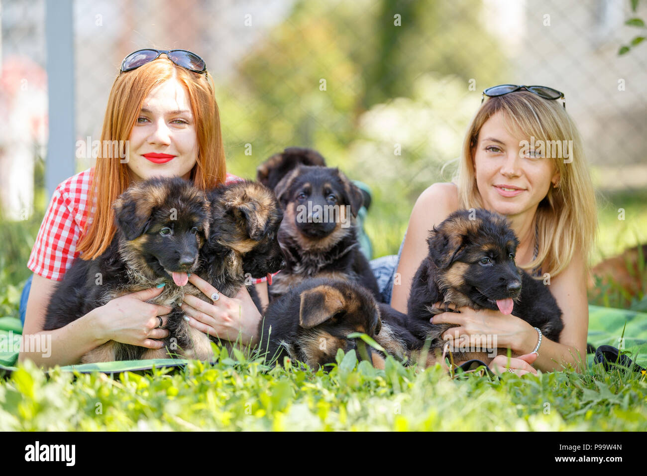 Two young women with puppies of german shepherd Stock Photo