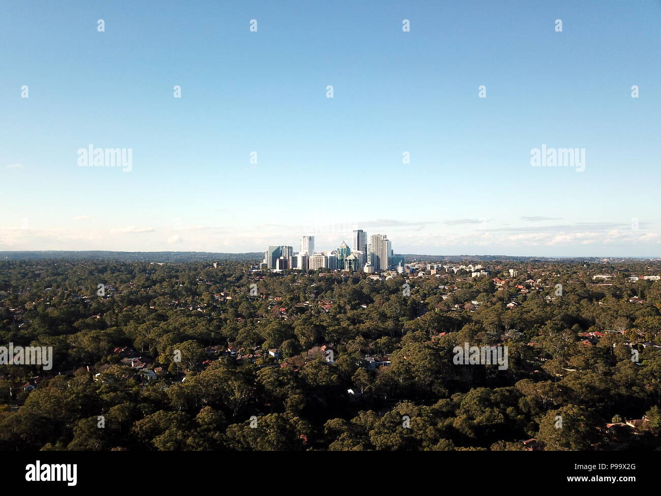 Aerial view of Chatswood CBD in north side of Sydney with  financial district skyscrapers surrounded by national parks, bush, forest. Stock Photo
