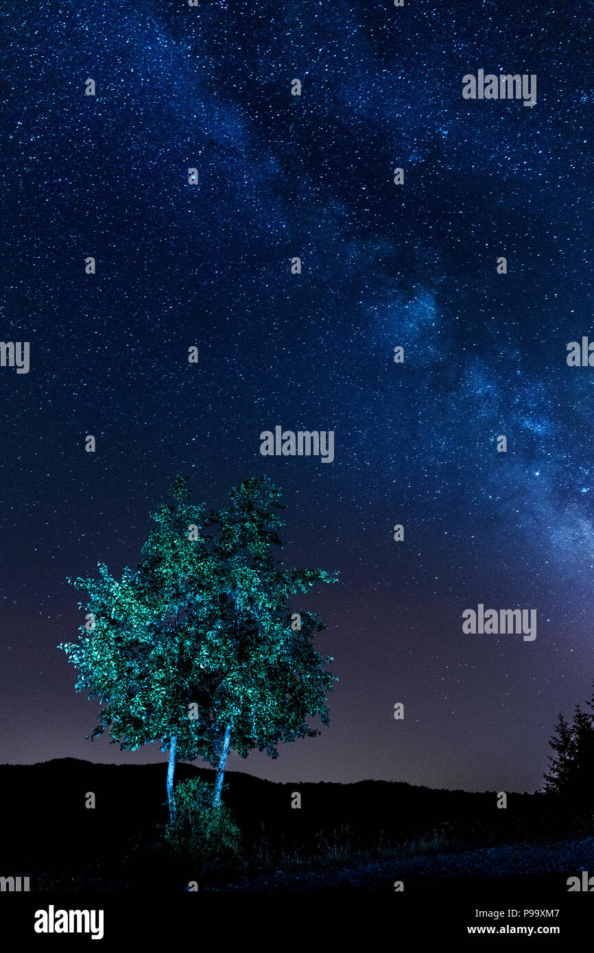European Wild Pear and Milky Way, nocturnal landscape Stock Photo