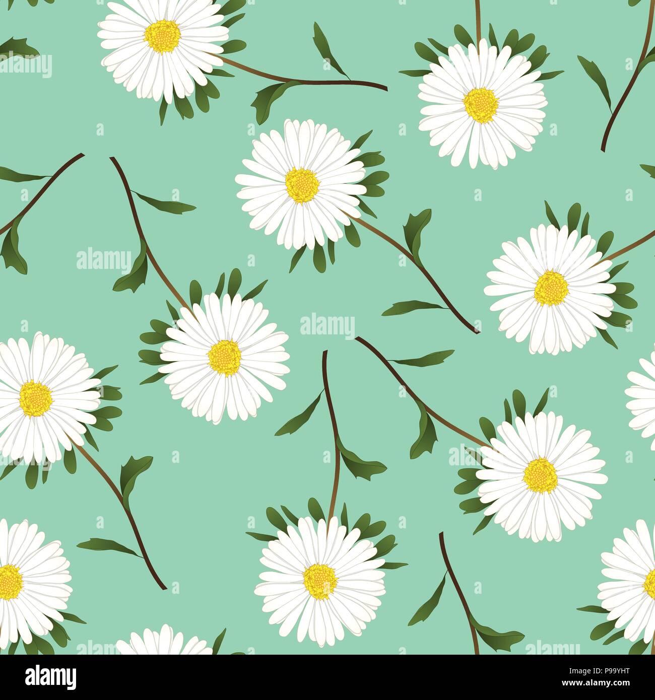 White Aster, Daisy on Green Background. Vector Illustration. Stock Vector