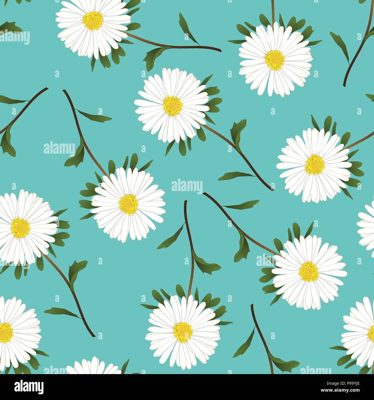 White Aster, Daisy on Green Teal Background. Vector Illustration. Stock Vector