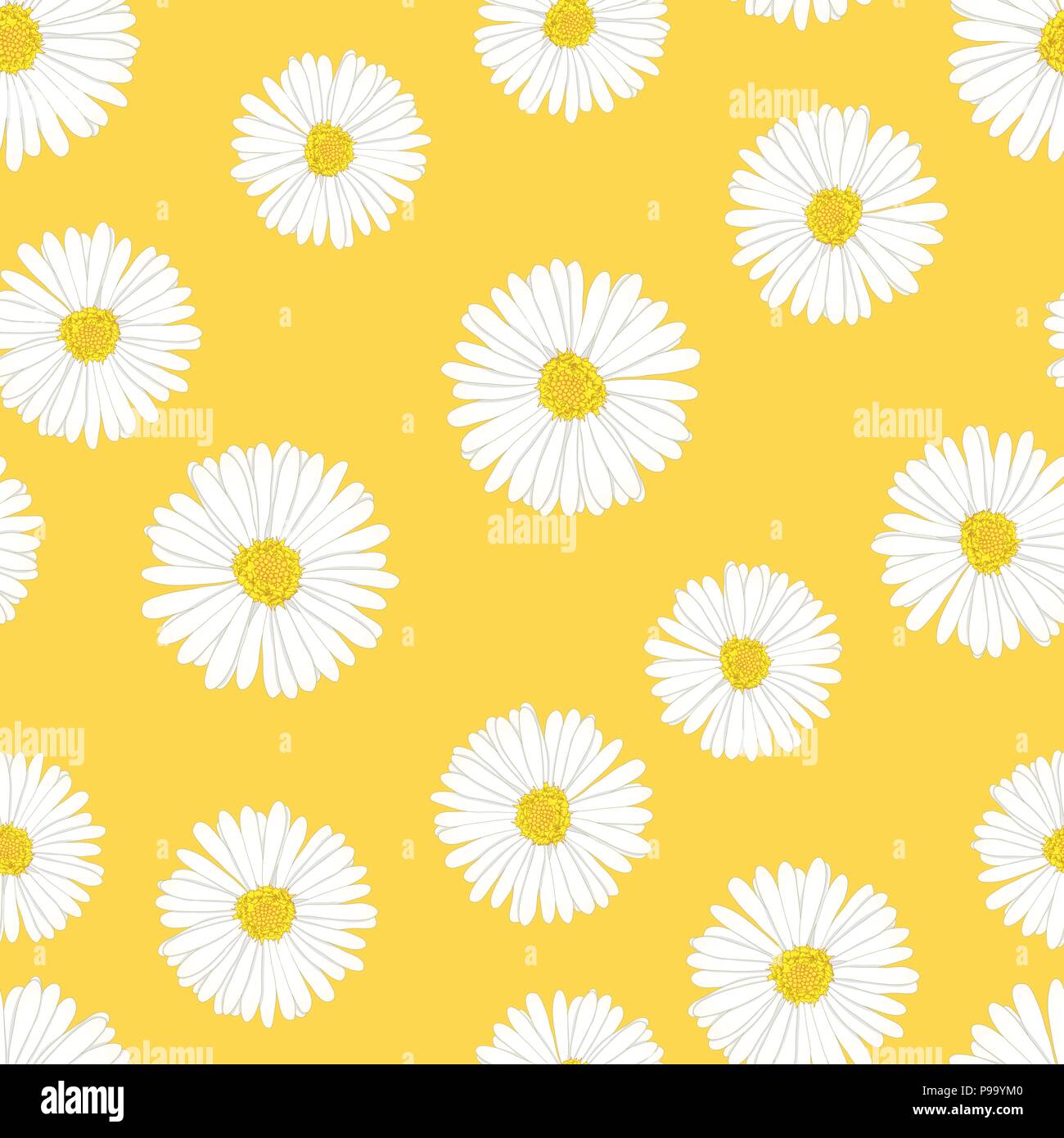White Aster, Daisy Seamless on Yellow Background. Vector Illustration. Stock Vector