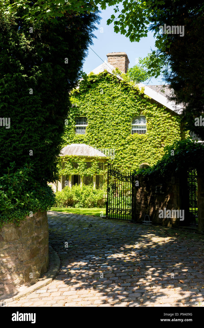 House Covered In Creeper High Resolution Stock Photography and Images ...
