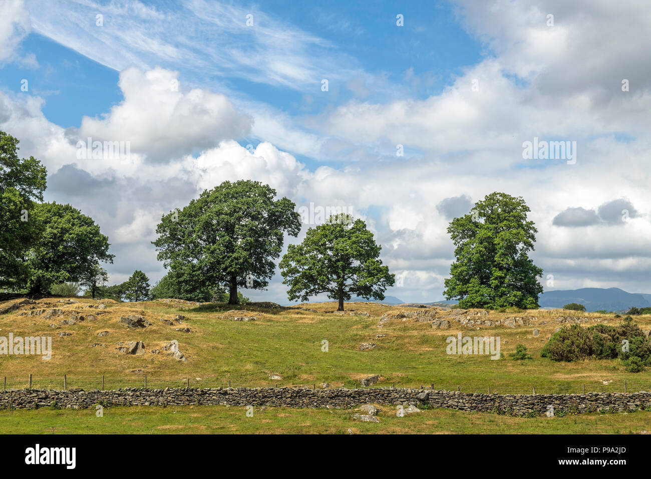 Landscape Scene in the Lake District National park Cumbria off the Crook road to Crook from Kendal. Stock Photo