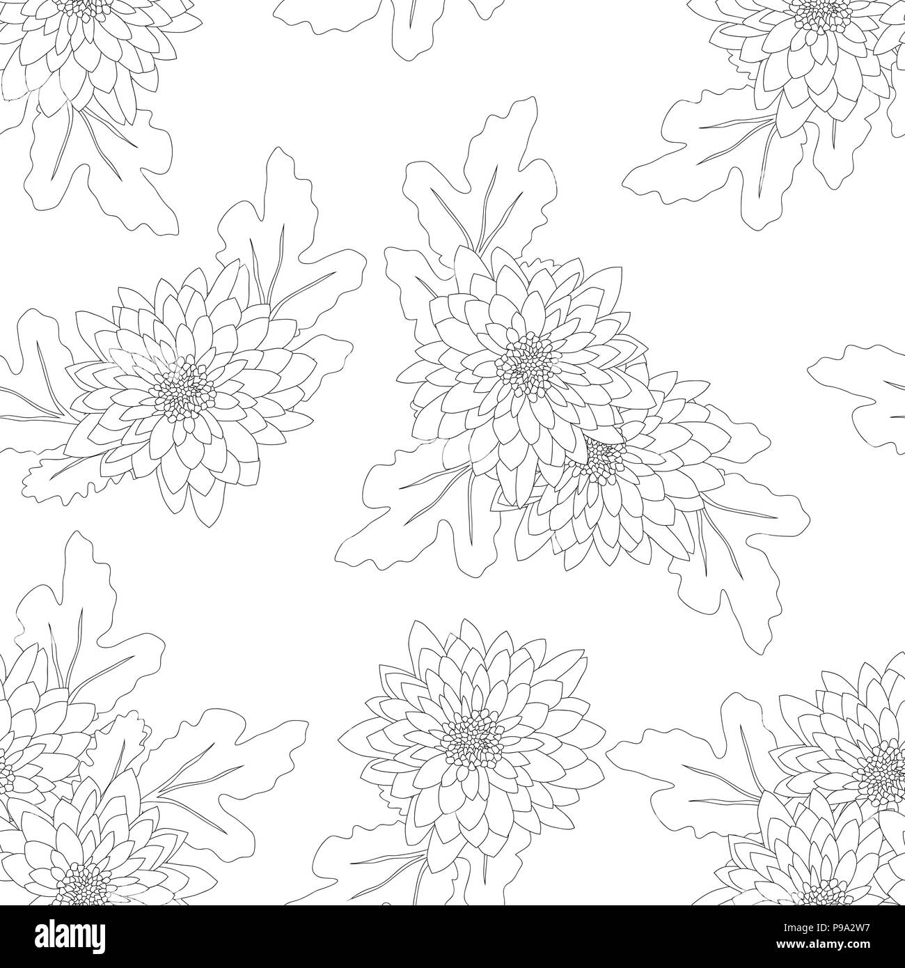 Chrysanthemum on White Background. Vector Illustration. Stock Vector