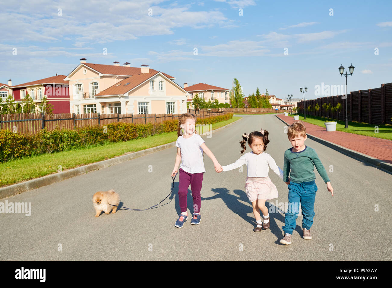 Children Walking Dog Stock Photo