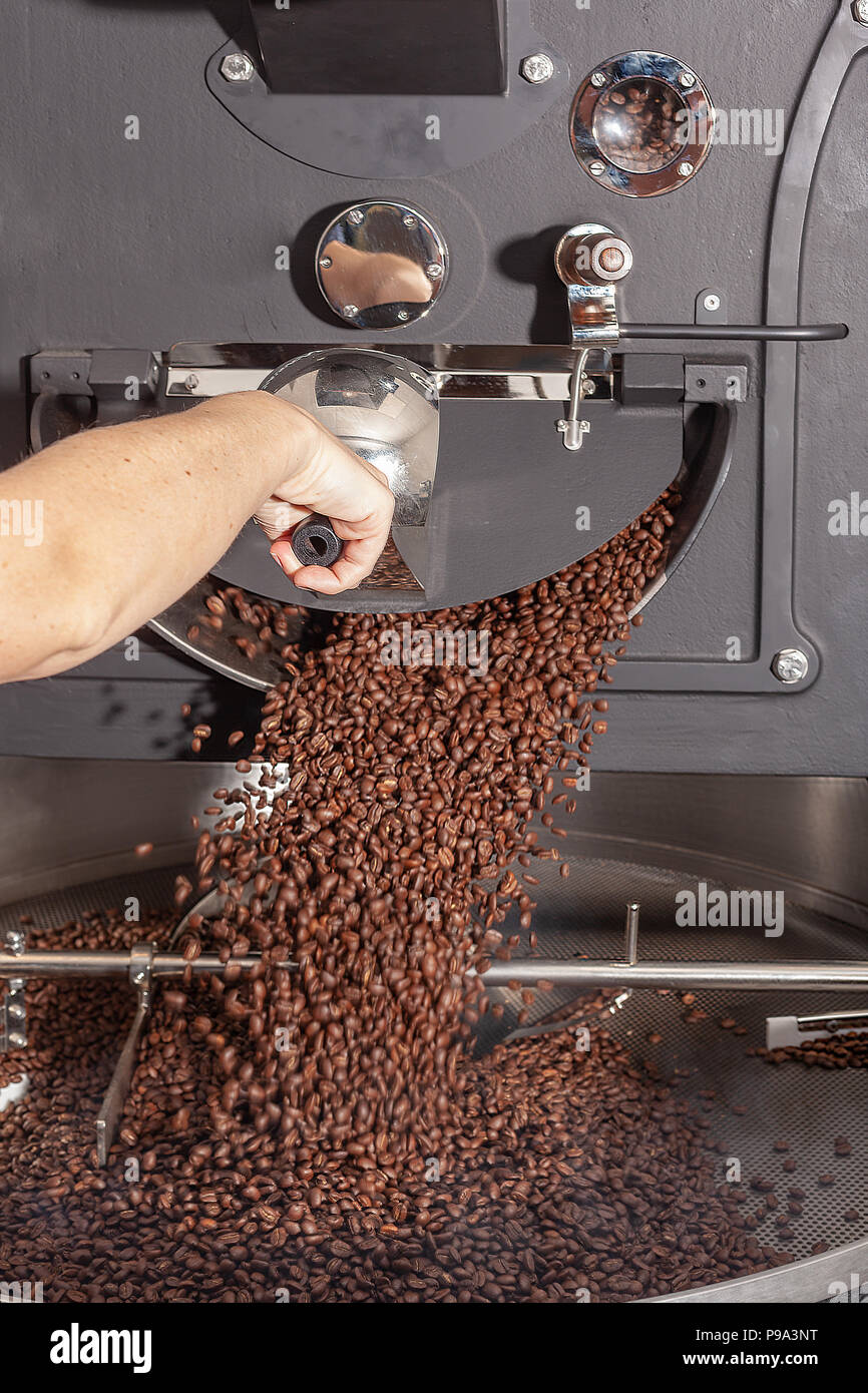 Coffee beans after roasting process Stock Photo Alamy