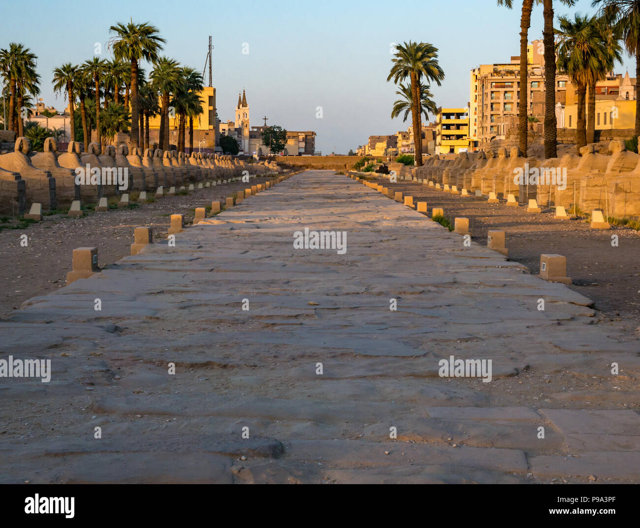 Avenue of Sphinxes, processional road between Karnak Temple and Luxor Temple, Egypt, Africa in evening light Stock Photo