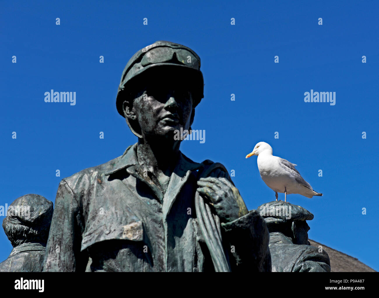 Seagull on Workers statue, BarrowinFurness, Cumbria, England UK Stock