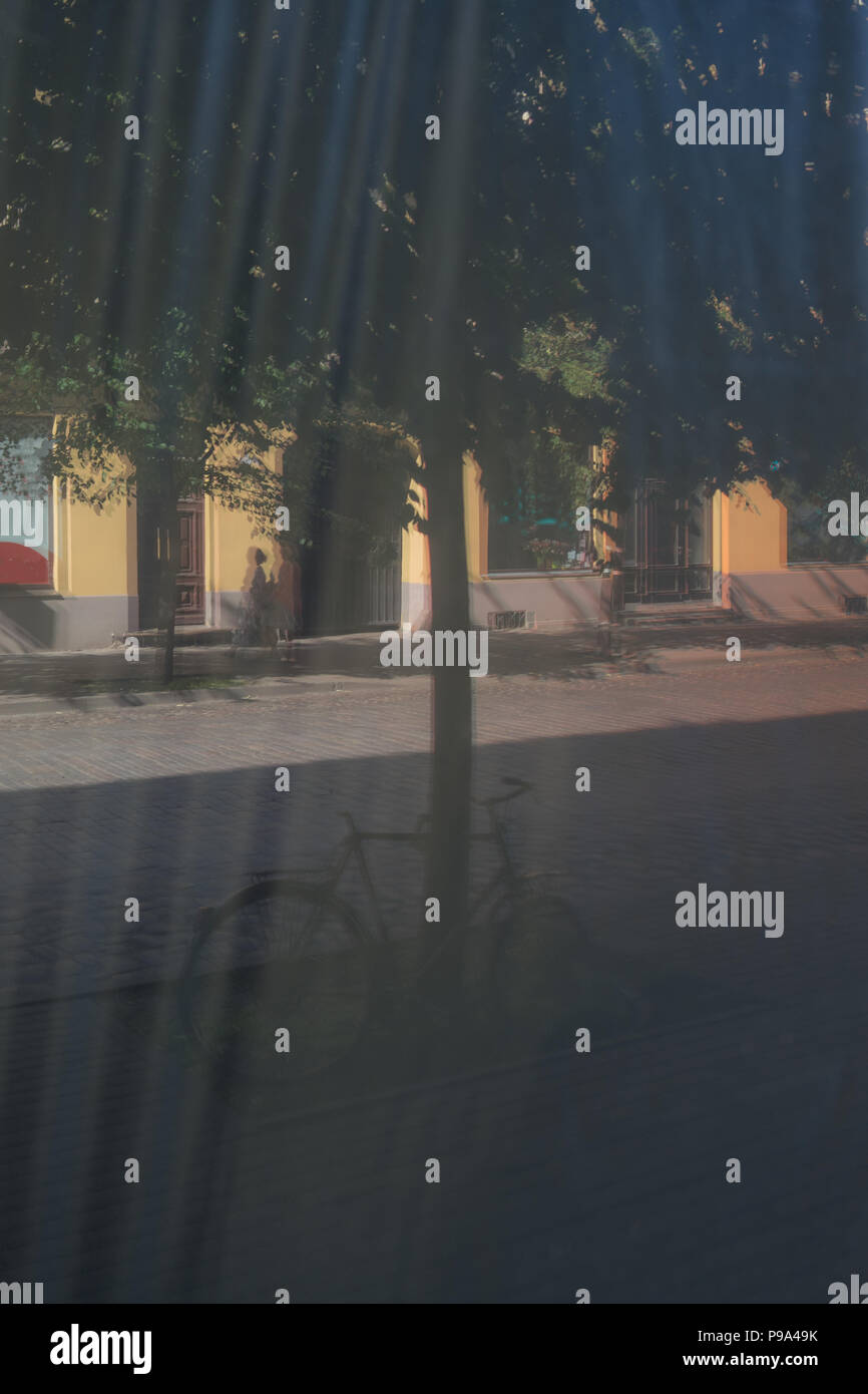 Reflection of a bicycle near a tree in the street with shadows in a film with folds in the glass of a showcase Stock Photo