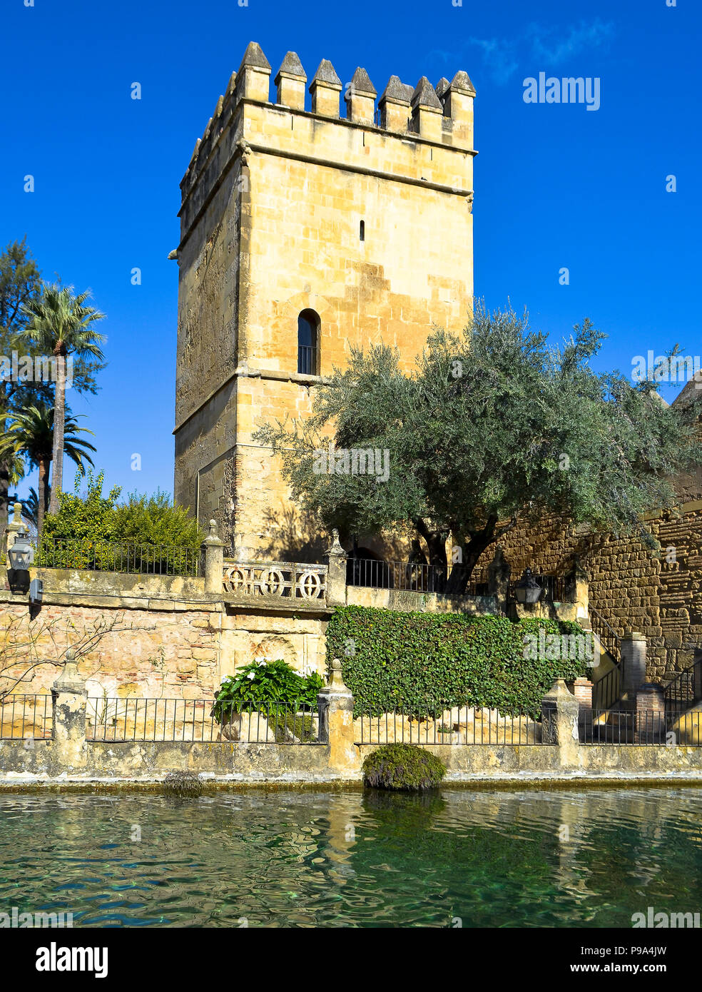Water and architecture at the Alcázar de los Reyes Cristianos in Cordoba, Spain Stock Photo