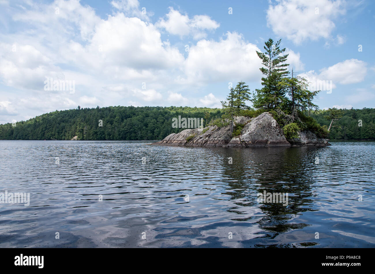 Moose pond hires stock photography and images Alamy