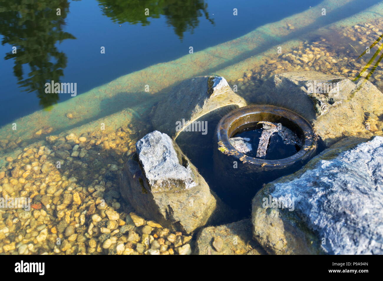 Skimmer filtering water in natural swimming pool, biologicaly filtering