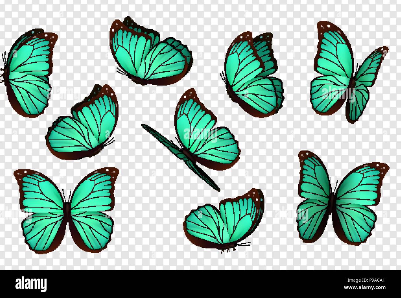Butterfly vector. Blue isolated butterflies. Insects with bright coloring  on transparent background Stock Vector Image & Art - Alamy